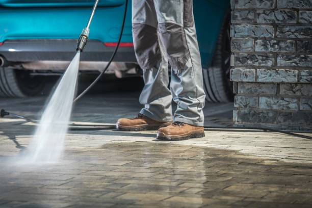 Best Pre-Holiday Cleaning  in Weston, FL