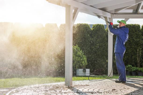 Best Spring Cleaning  in Weston, FL