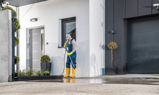 Best Rust Removal  in Weston, FL